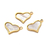 Ion Plating(IP) 304 Stainless Steel Pave Natural Shell Charms STAS-Z100-01G-03-1