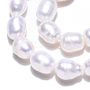 Natural Cultured Freshwater Pearl Beads Strands PEAR-N012-07Q-3
