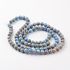 Natural Imperial Jasper Beads Strands G-I122-10mm-13-2