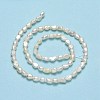 Natural Cultured Freshwater Pearl Beads Strands PEAR-A005-16-3