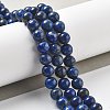 Natural Lapis Lazuli Beads Strands G-P348-01-8mm-2