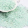 Baking Paint Glass Seed Beads SEED-A033-05R-1