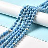 Synthetic Turquoise and Sea Shell Assembled Beads Strands G-D482-01E-04-1