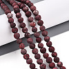 Natural American Turquoise Beads Strands G-S369-001B-A02-2