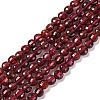 Natural Garnet Beads Strands G-F770-B02-01-1