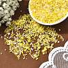 MIYUKI Seed Beads Mix X-SEED-Z005-01I-4