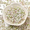 Baking Painted Glass Seed Beads SEED-C004-03B-2