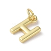 Rack Plating Brass Charms KK-P245-06G-H-2