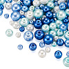 Cheriswelry 12 Strands 12 Style Baking Painted Pearlized Glass Pearl Round Bead Strands HY-CW0001-02-12