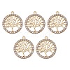 Alloy Crystal Rhinestone Pendants FIND-YW0003-63-1