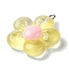 Translucent Resin Pendants X-RESI-P039-01P-3