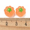 Resin Cabochons RESI-R456-05A-3