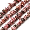 Natural Argentina Rhodonite Beads Strands GG-CBAC13F-B04-01-2