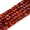 Dyed Natural Agate Beads Strands G-T138-211F-4