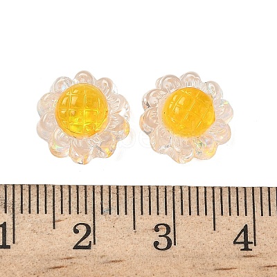 Translucent Resin Beads RESI-D312-04C-1