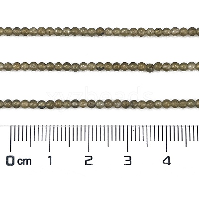 Natural Labradorite Beads Strands G-M438-A01-02-1
