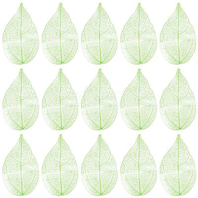 100Pcs Dried Flower Leaf Craft Supplies AJEW-CP0009-41A-1