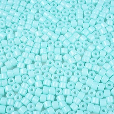 Opaque Baking Paint Glass Seed Beads SEED-T008-02N-1