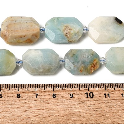 Natural Amazonite Beads Strands G-J373-24G-1