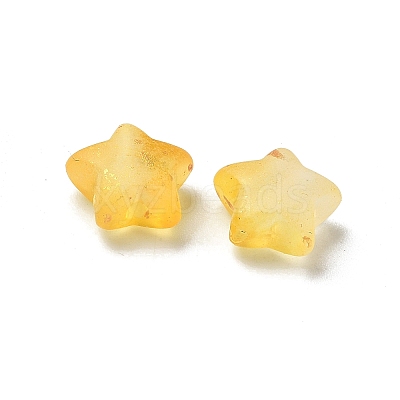 Frosted Acrylic Charms OACR-M023-04K-1