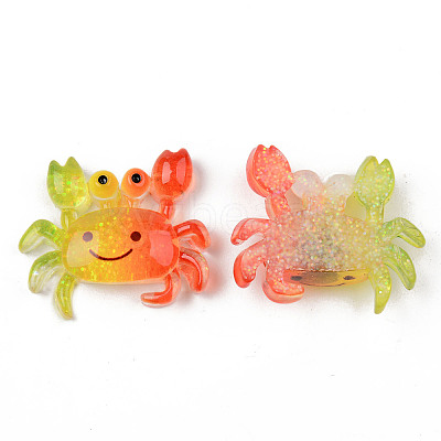 Rainbow Resin Cabochons LS-X-CRES-N024-40-1