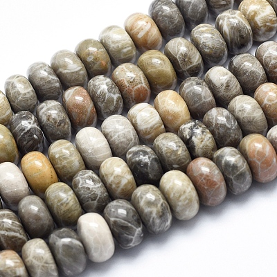 Natural Fossil Coral Beads Strands G-K256-10D-1