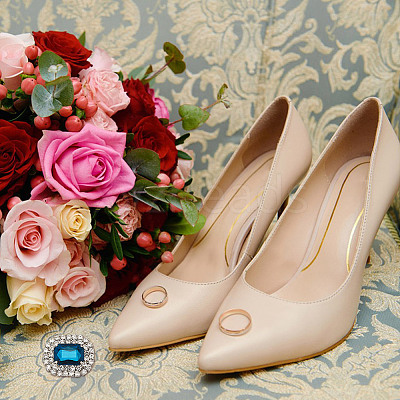 Alloy Rhinestone Shoe Decorations FIND-WH0126-417D-1
