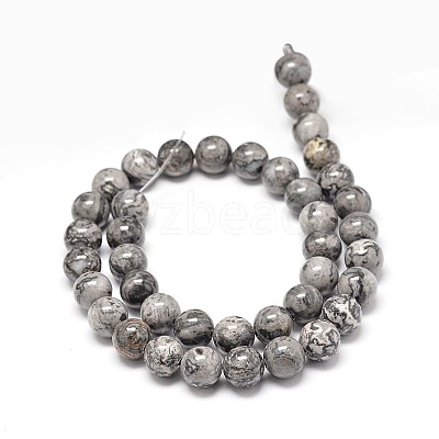 Natural Map Stone Beads Strands G-P075-15-8mm-1