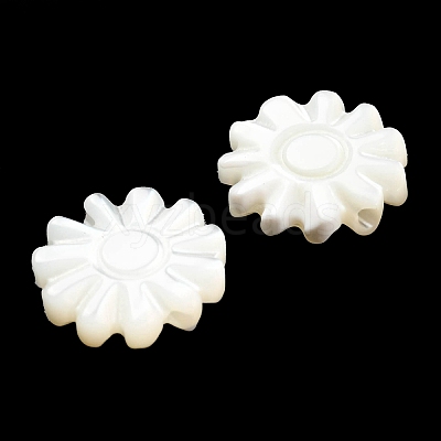 Natural Trochid Shell/Trochus Shell Beads SSHEL-R145-01-1