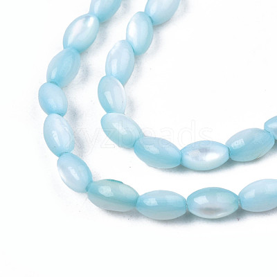 Natural Freshwater Shell Beads Strands SHEL-N003-25-B02-1