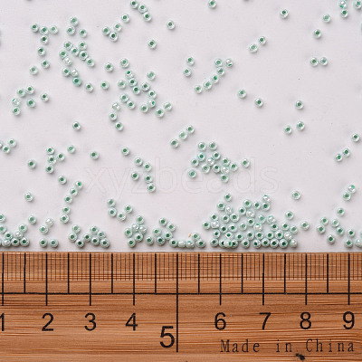 11/0 FGB Grade A Round Glass Seed Beads SEED-N001-B-0487-1