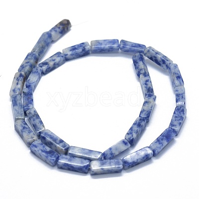 Natural Blue Spot Jasper Beads Strands G-F631-E04-1
