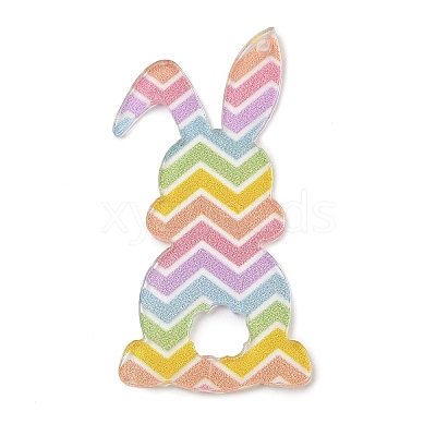 Printed Transparent Acrylic Pendants FIND-K017-14B-1