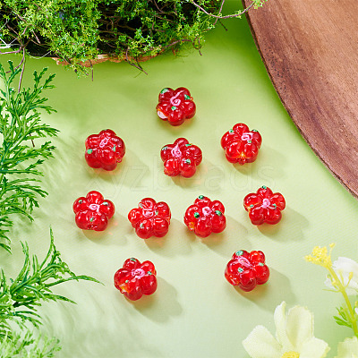 10Pcs Handmade Lampwork Beads LAMP-TADJ0001-01A-1