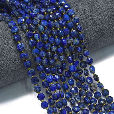 Dyed Natural Lapis Lazuli Beads Strands G-K389-B03-01-1