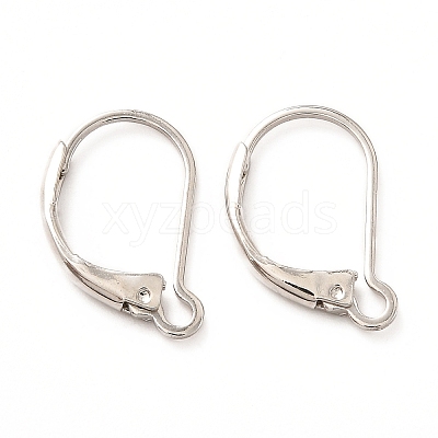 Brass Leverback Earring Findings LS-KK-F828-03P-1