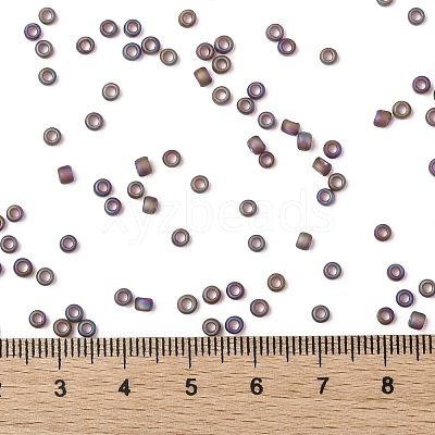 TOHO Round Seed Beads SEED-XTR08-0166CF-1