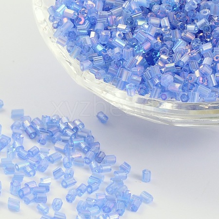 11/0 Two Cut Glass Seed Beads X-CSDB166-1