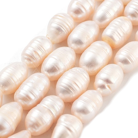 Natural Cultured Freshwater Pearl Beads Strands PEAR-P062-14C-1