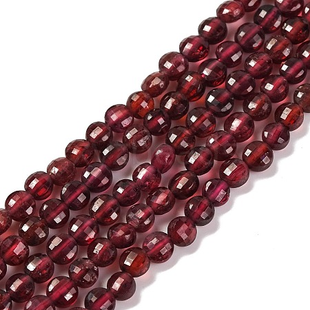 Natural Garnet Beads Strands G-F770-B02-01-1