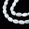 Natural Trochid Shell/Trochus Shell Beads Strands SSHEL-S266-021A-01-3