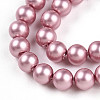 Baking Painted Pearlized Glass Pearl Bead Strands HY-N002-4mm-C01-4