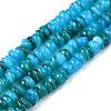 Natural Freshwater Shell Beads Strands SHEL-S278-067B-1