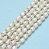 Natural Cultured Freshwater Pearl Beads Strands PEAR-J006-10F-01-2