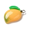 Opaque Resin Fruit Pendants RESI-M039-06-2