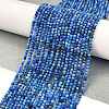 Natural Lapis Lazuli Beads Strands G-H003-B07-02-2