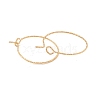 Ion Plating(IP) 316 Surgical Stainless Steel Hoop Earrings Findings STAS-D183-02G-01-2