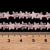 Natural Rose Quartz Beads Strands G-F817-A01-01-6