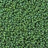 MIYUKI Round Rocailles Beads SEED-X0054-RR0480-3