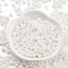 Baking Paint Glass Seed Beads SEED-A032-02D-2
